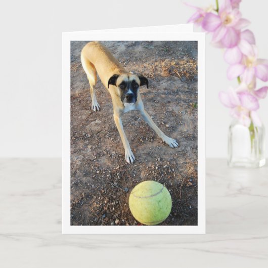 Hund mit großem Tennisball Karte (Orchidee)