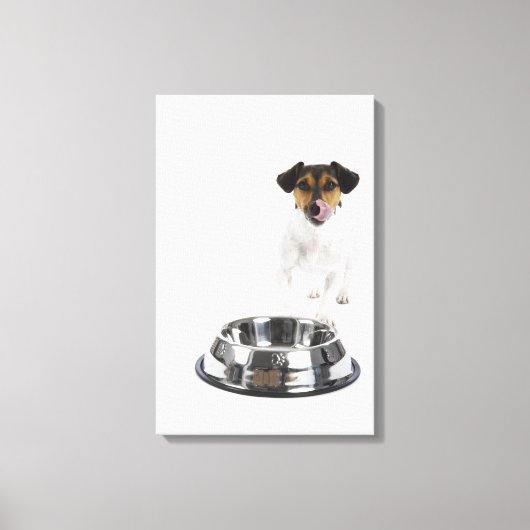 Hund mit großer Schüssel Leinwanddruck (Vorderseite)