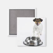 Hund mit großer Schüssel Magnet (Vorderseite/Rückseite)