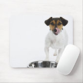 Hund mit großer Schüssel Mousepad (Mit Mouse)