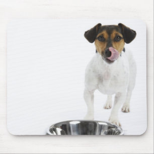 Hund mit großer Schüssel Mousepad