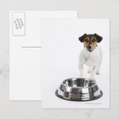 Hund mit großer Schüssel Postkarte (Vorne/Hinten)