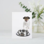 Hund mit großer Schüssel Postkarte (Stehend Vorderseite)