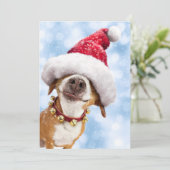 Hund mit großer Weihnachtsmannmütze Einladung (Stehend Vorderseite)