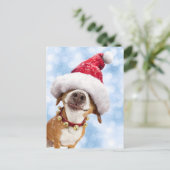 Hund mit großer Weihnachtsmannmütze Einladungspostkarte (Stehend Vorderseite)