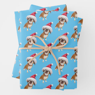 Hund mit großer Weihnachtsmannmütze Geschenkpapier Set