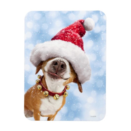 Hund mit großer Weihnachtsmannmütze Magnet (Vertikal)