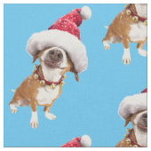 Hund mit großer Weihnachtsmannmütze Stoff (Nahaufnahme)