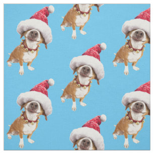 Hund mit großer Weihnachtsmannmütze Stoff