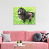 Hund mit Haltung! Leinwanddruck (Insitu (Wohnzimmer))