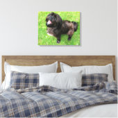 Hund mit Haltung! Leinwanddruck (Insitu (Schlafzimmer))