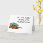 HUND MIT HANGOVER HUMOROUS 50. KARTE (Gelbe Blume)