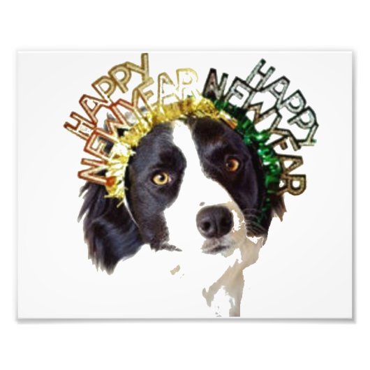 Hund mit Happy New Years Hut Fotodruck (Vorne)
