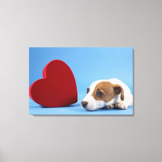 Hund mit Herz Leinwanddruck (Vorderseite)