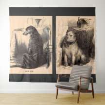 Hund mit hohem Leben, Hund mit niedrigem Leben