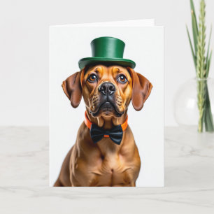 Hund Mit Hut Tolles Kartengruß Karte
