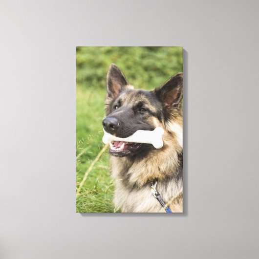 Hund mit Knochen Leinwanddruck (Vorderseite)