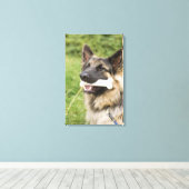 Hund mit Knochen Leinwanddruck (Insitu (Holzboden))