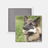 Hund mit Knochen Magnet (Vorderseite/Rückseite)
