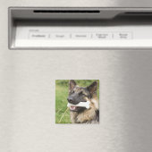 Hund mit Knochen Magnet (In Situ (Geschirrspüler))