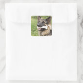 Hund mit Knochen Quadratischer Aufkleber (Tasche)