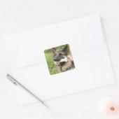 Hund mit Knochen Quadratischer Aufkleber (Umschlag)