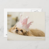 Hund mit Krone Postkarte (Vorne/Hinten)