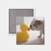 Hund mit Kunststoffente Magnet (Vorderseite/Rückseite)