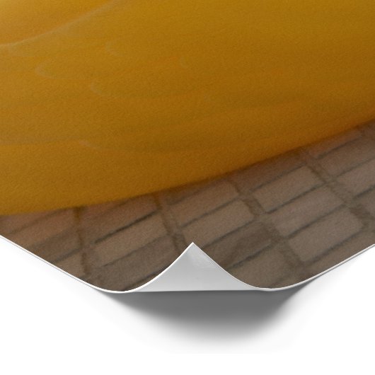 Hund mit Kunststoffente Poster (Ecke)