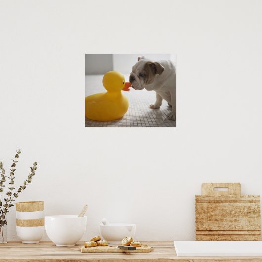Hund mit Kunststoffente Poster (Küche)