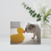 Hund mit Kunststoffente Postkarte (Stehend Vorderseite)