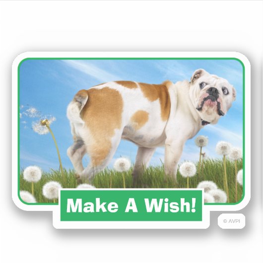 Hund mit Löwenzahn Aufkleber (Vorderseite)