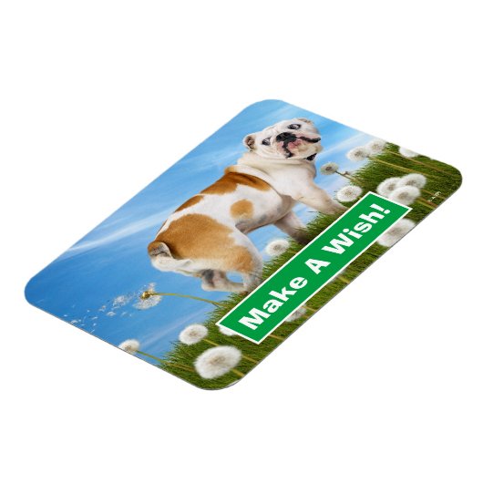 Hund mit Löwenzahn Magnet (Linke Seite)