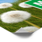 Hund mit Löwenzahn Poster (Ecke)