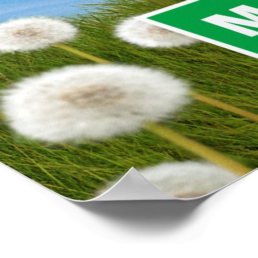 Hund mit Löwenzahn Poster (Ecke)