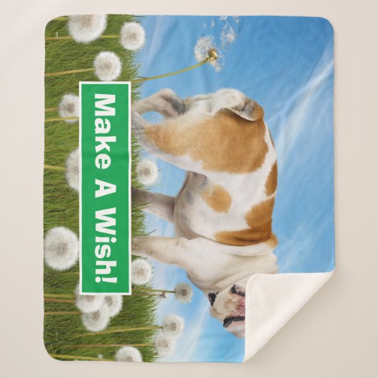 Hund mit Lüster Sherpadecke (Vorderseite)