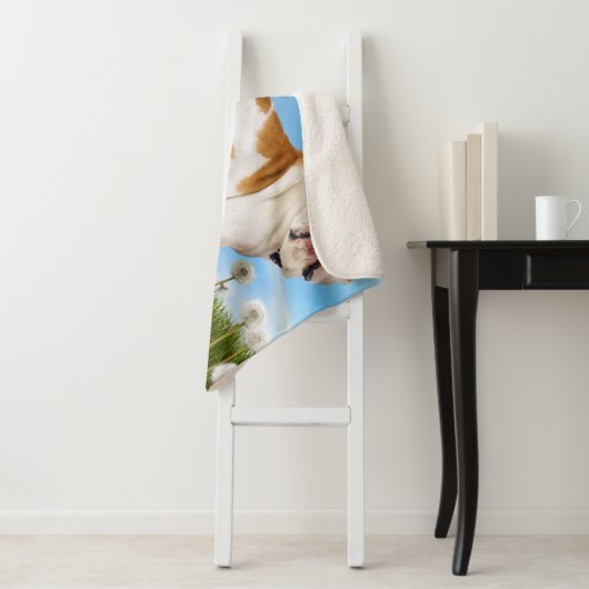 Hund mit Lüster Sherpadecke (Beispiel)