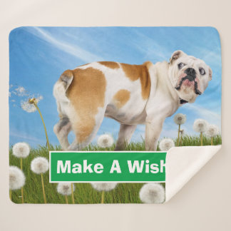 Hund mit Lüster Sherpadecke