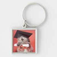 Hund mit Mortarboard und Diplom