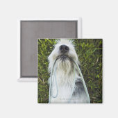 Hund mit Mundleash Magnet (Vorderseite/Rückseite)