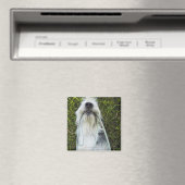 Hund mit Mundleash Magnet (In Situ (Geschirrspüler))
