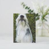 Hund mit Mundleash Postkarte (Stehend Vorderseite)