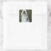 Hund mit Mundleash Quadratischer Aufkleber (Tasche)