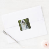 Hund mit Mundleash Quadratischer Aufkleber (Umschlag)