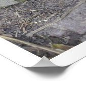 Hund mit Nase durch Loch in Zaun Poster (Ecke)