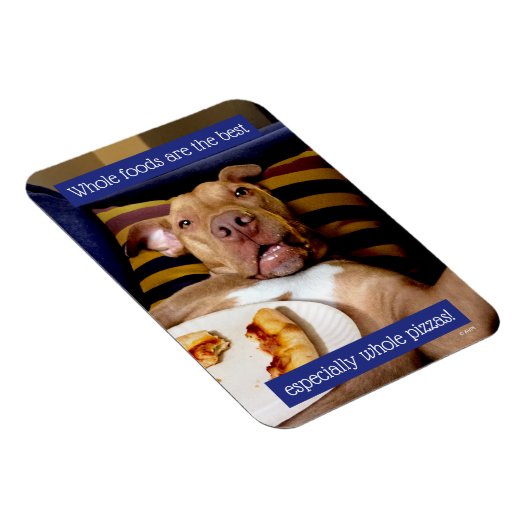 Hund mit Pizza Magnet (Rechte Seite)