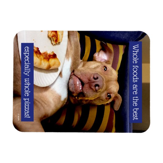 Hund mit Pizza Magnet (Horizontal)