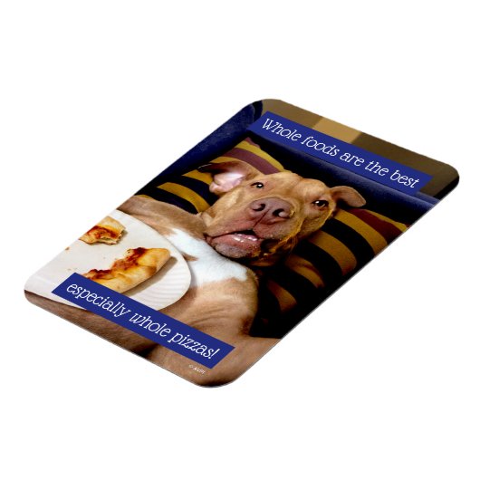 Hund mit Pizza Magnet (Linke Seite)