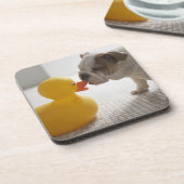 Hund mit Plastikente Untersetzer (Linke Seite)