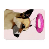 Hund mit rosa Halo Magnet (Horizontal)